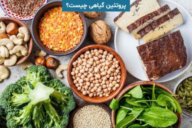 پروتئین گیاهی