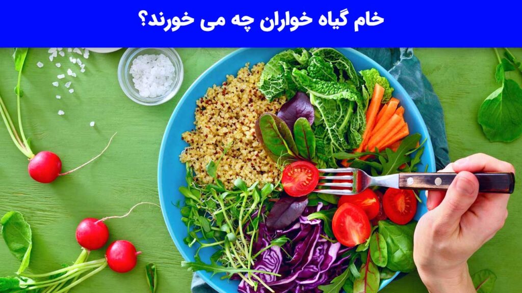 خام گیاه خواران چه می خورند